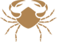Cancer zodiac sign symbol
